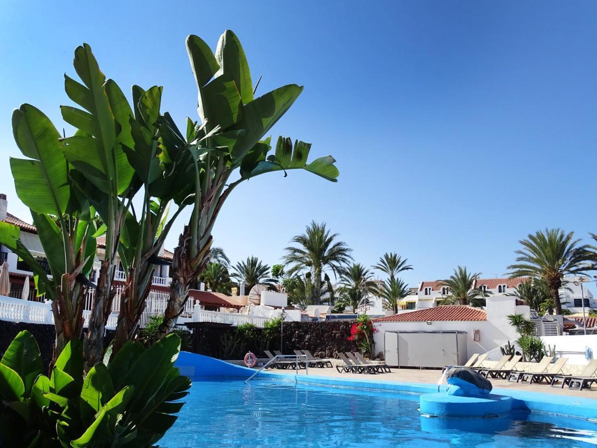Las Americas Luxury Low-Cost Apartment With Terrace & Views 美洲海滩 外观 照片