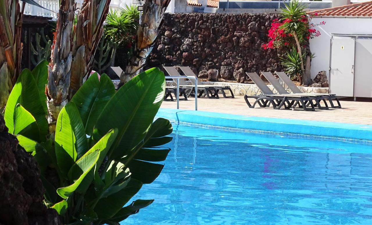 Las Americas Luxury Low-Cost Apartment With Terrace & Views 美洲海滩 外观 照片