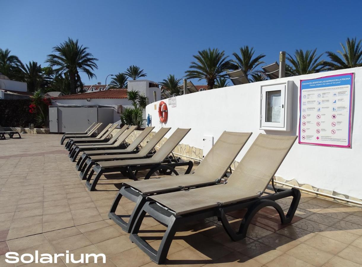 Las Americas Luxury Low-Cost Apartment With Terrace & Views 美洲海滩 外观 照片
